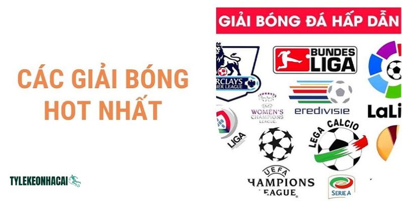 Tại northwind.com.mx luôn cập nhật đầy đủ lịch mọi giải đấu bóng